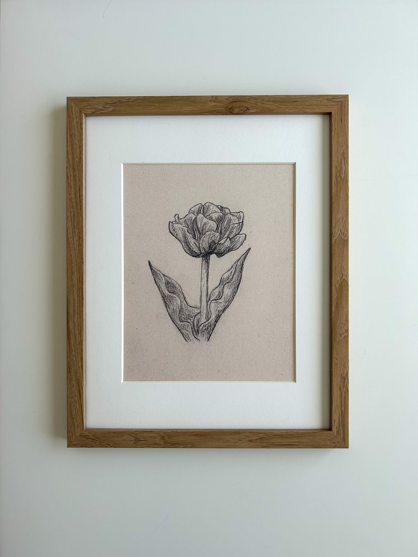 "Aveyron Tulip" Print