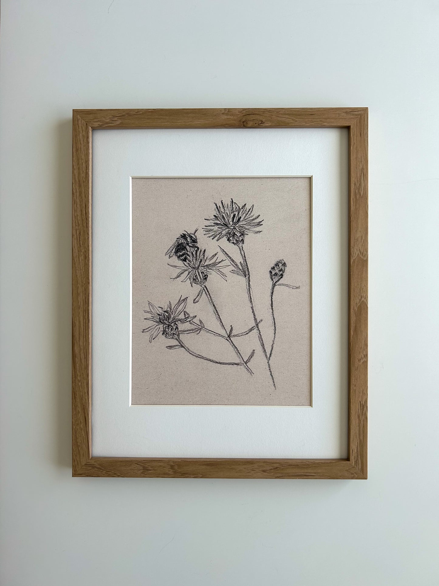 "Knapweed & Bee" Print