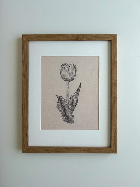 "Tulip" Print