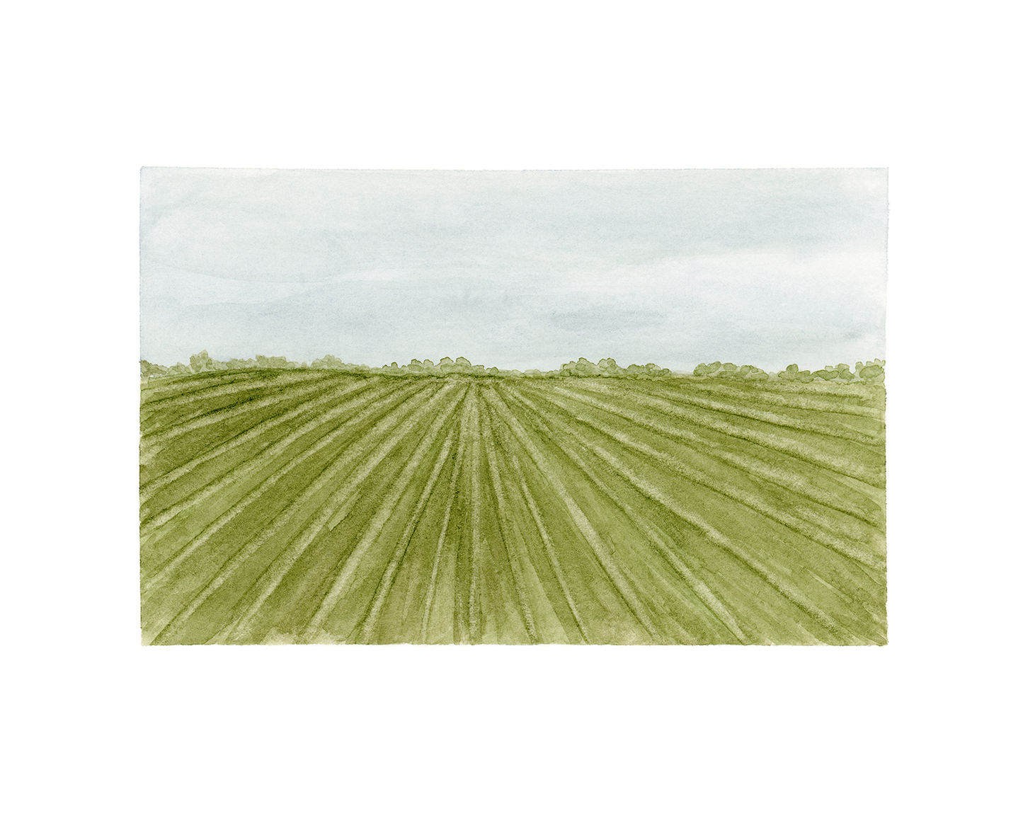 "Green Rows" Print