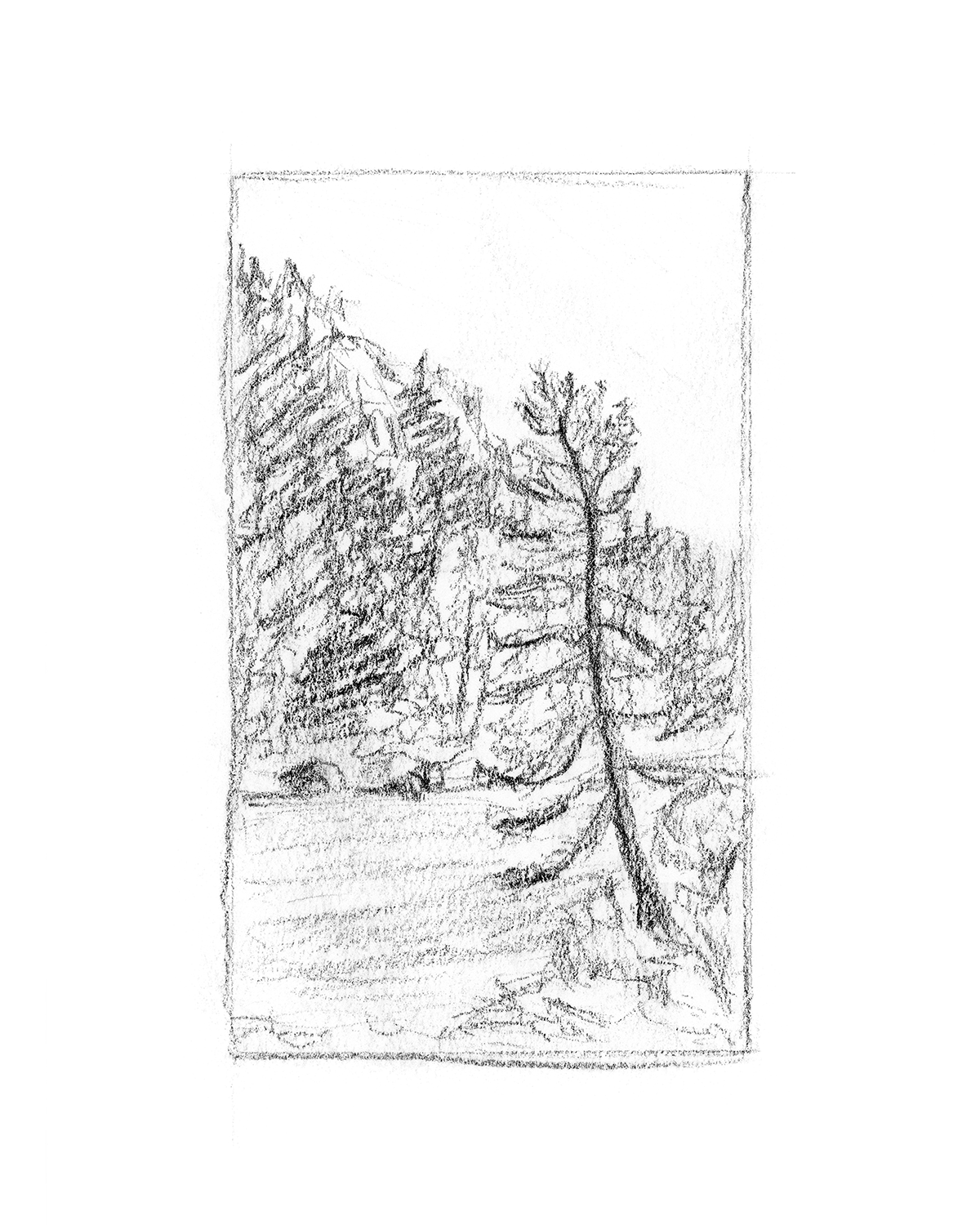 "Madison River Sketch" Print