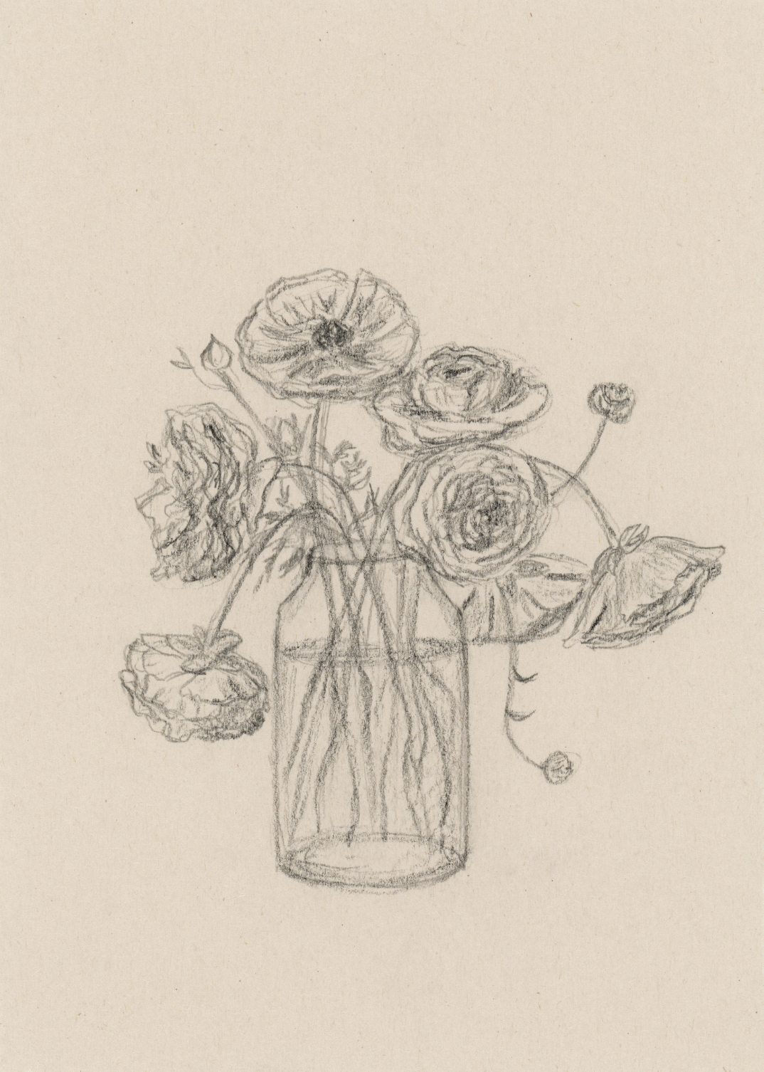 "Ranunculus" Print