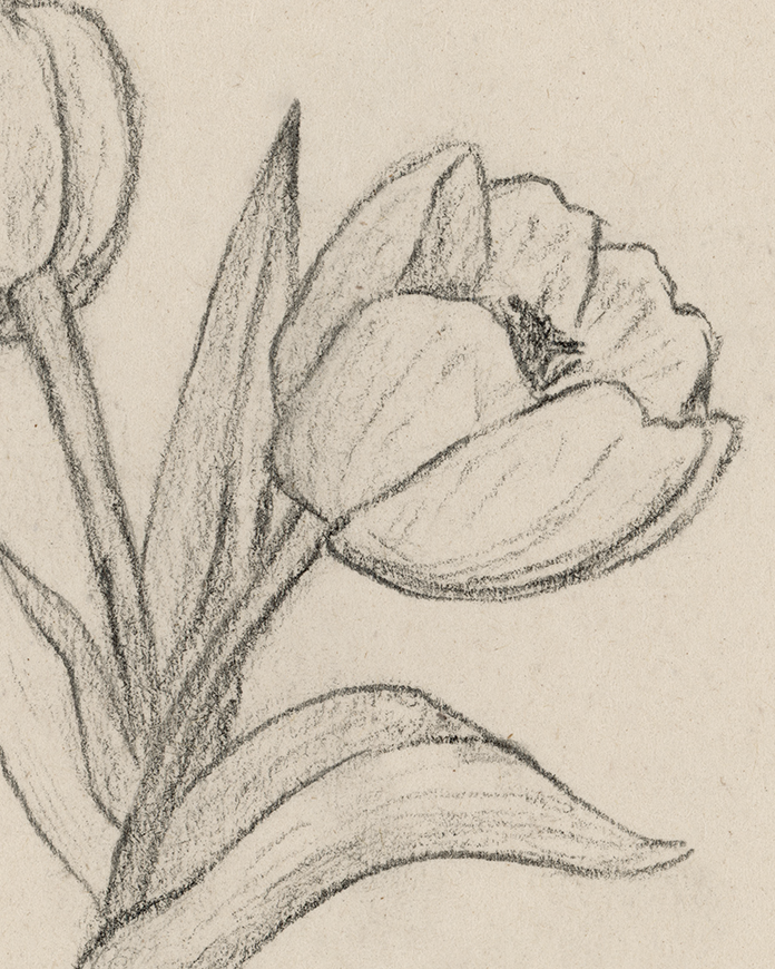 "Tulips no. 2" Print